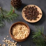 Κουκουνάρι Σπόρος Χύμα 1kg