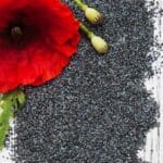 Παπαρουνόσπορος Χύμα 1kg