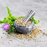 Γαϊδουράγκαθο Σπόρος Χύμα 1kg